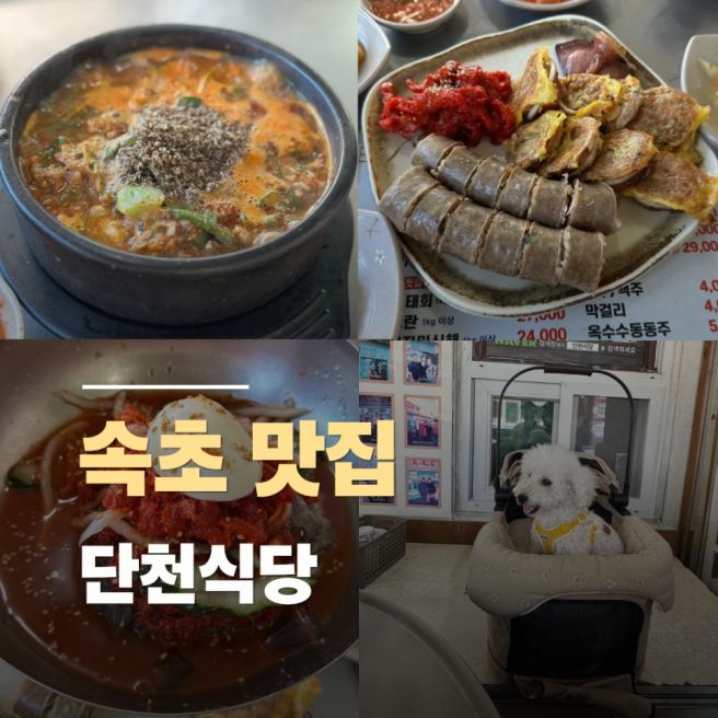 속초 아바이마을 맛집 단천식당 - 아바이순대국, 오징어순대, 애견동반 가능