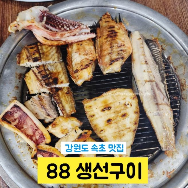 [속초 맛집] 직접 구워주는 88생선구이 내돈내산 후기