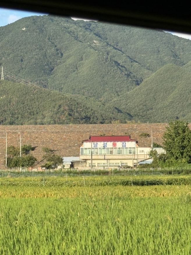 [ 대구 유가 횟집 ] 달창지저수지 근처 간디스토마 걱정 없는 향어회 밧집, 달성횟집