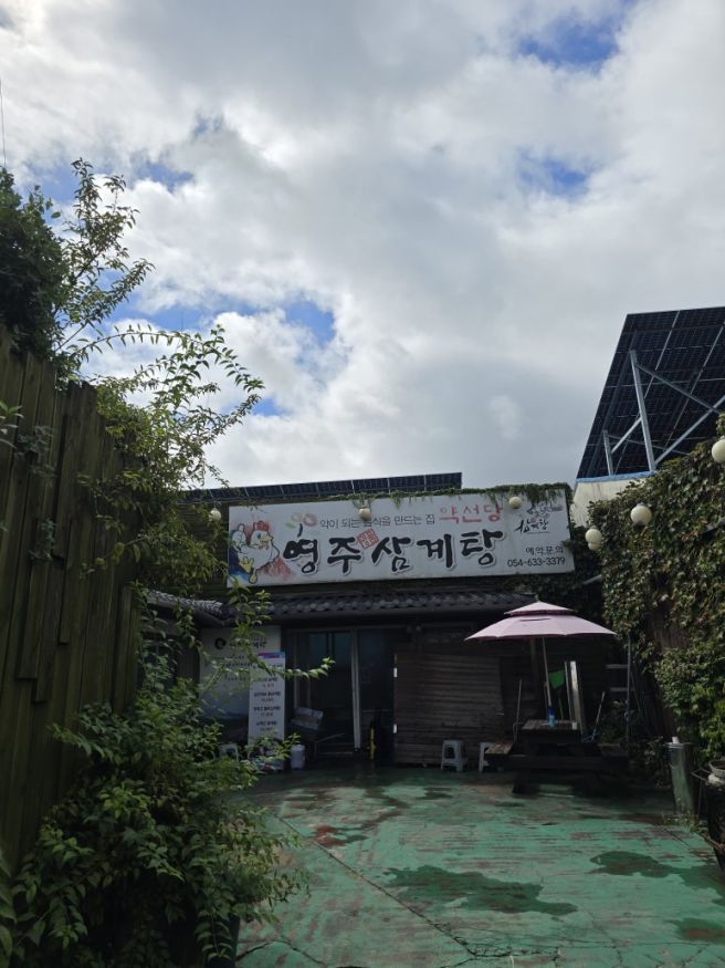 영주풍기 약선당삼계탕 풍기민속떡집 정도너츠 영주 풍기 먹거리여행