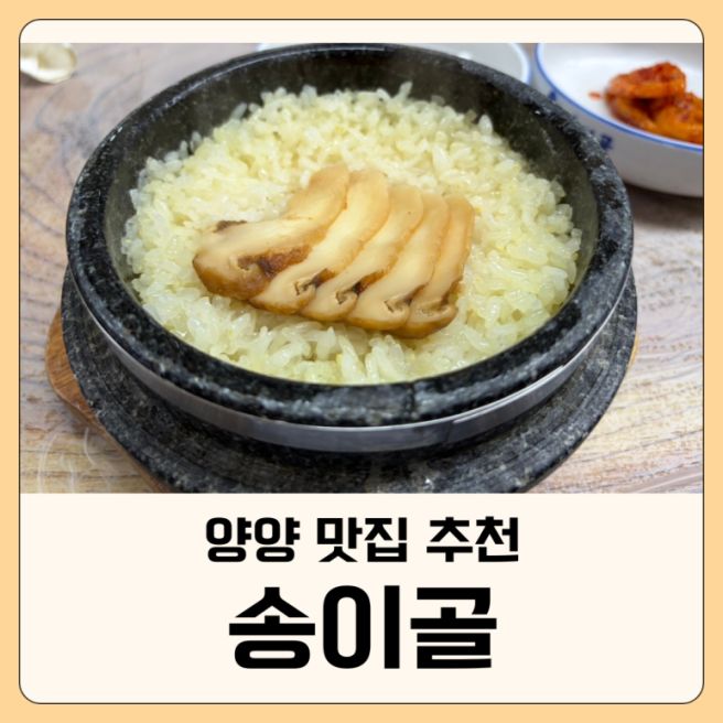 양양 맛집 송이골 내돈내산 솔직후기ㅣ송이돌솥정식 가성비 대만족