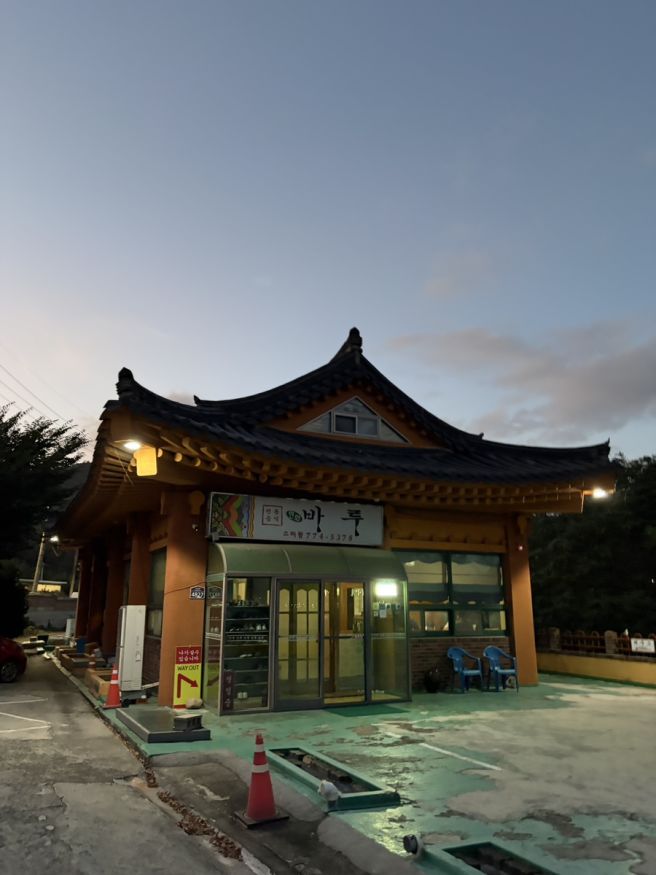 경주 비건 맛집, 비건옵션 맛집 추천 | 연화바루, 옐라, 놋전국수 내돈내산 후기