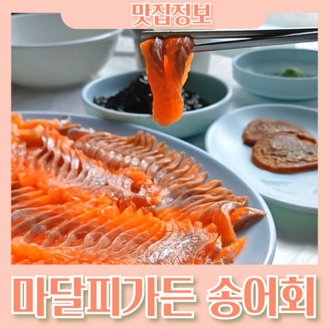 금산 송어회 맛집 마달피가든 내돈내산 폭풍 흡입한 후기