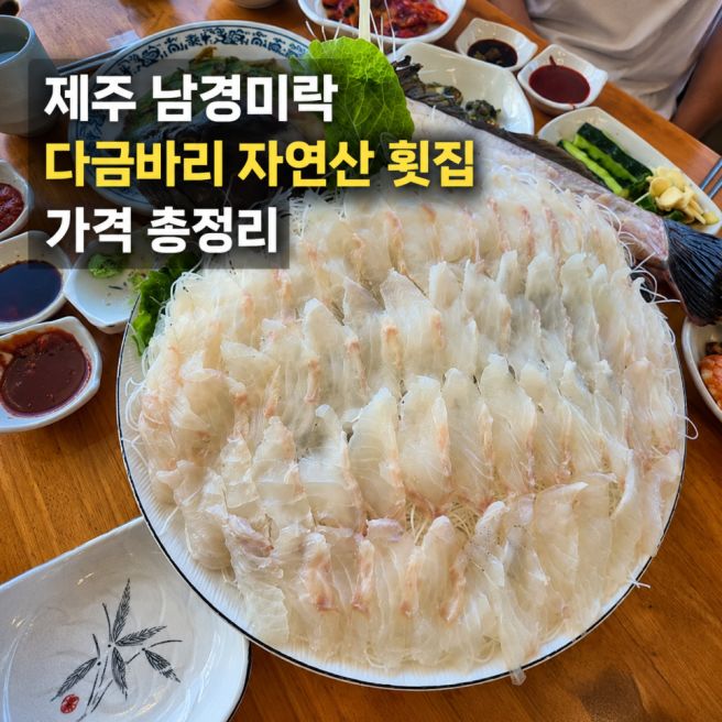 제주 남경미락 쯔양 몇끼 다금바리 자연산 횟집 가격 총정리