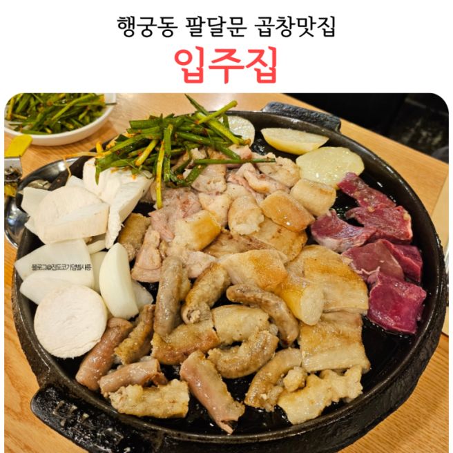 행궁동 블루리본 맛집 입주집 수원곱창 팔달문 가구거리 내돈내산 후기