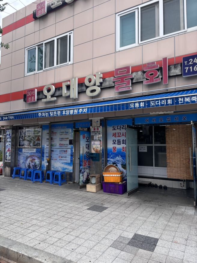 포항 현지인 맛집 오대양물회식당 원조 고추장물회 후기