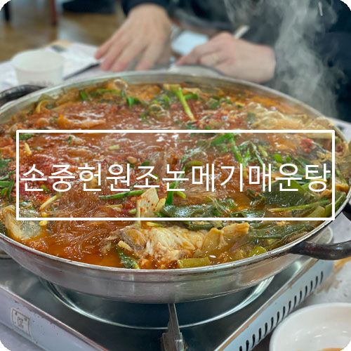 대구 매운탕 맛집 다사 문양역 손중헌 원조 논메기매운탕