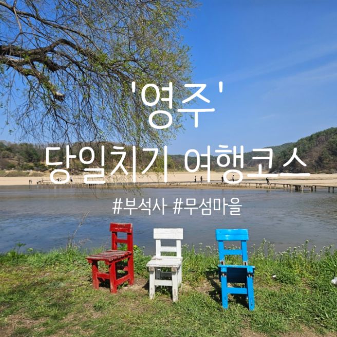 가족여행 당일치기 여행코스 추천 (청국장맛집/정도너츠&amp;순흥기지떡/불국사/무섬마을/카페추천/인성만두)