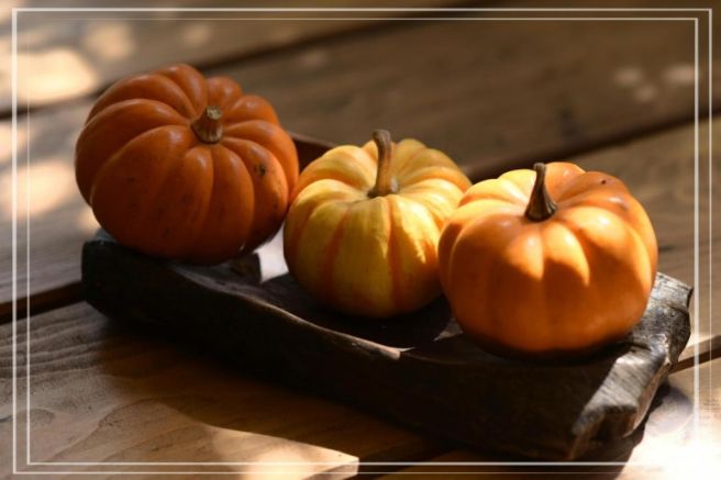 5개월 웨이팅? 전국 호박떡 맛집 투어! 시루원부터 송림병까지 건강한 단맛의 매력 🍡