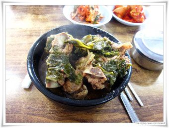 망원동 마포구청역 뼈다귀 일등식당