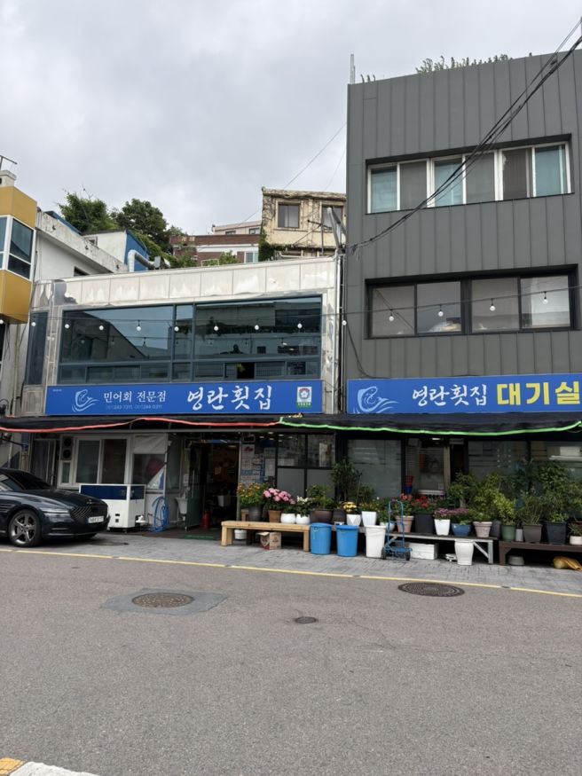 [전남/목포/영란횟집] 목포 민어회 맛집 영란횟집 민어코스요리 내돈내산 솔직 후기