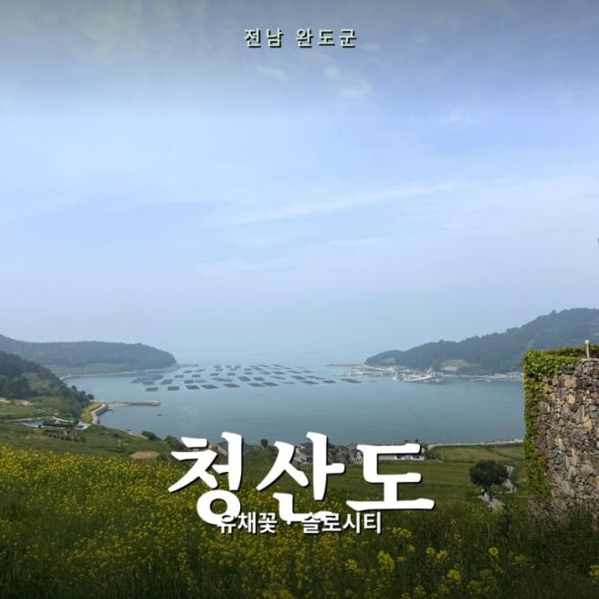 완도 청산도 1박 2일 여행 코스, 서편제 촬영지 유채꽃밭 &amp; 배 시간, 꿀팁 총정리 🌼🚢