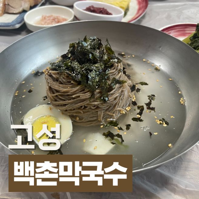 강원 고성 여행 필수 코스 백촌막국수 내돈내산