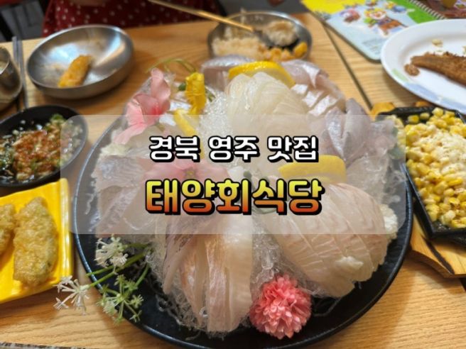 스키다시가 매우 푸짐하고 도톰한 회가 인상적인 영주횟집 영주현지인맛집 태양회식당