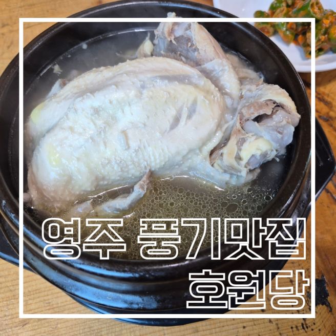 영주 풍기 현지인 추천 맛집 능이삼계탕 들깨칼국수 <호원당>