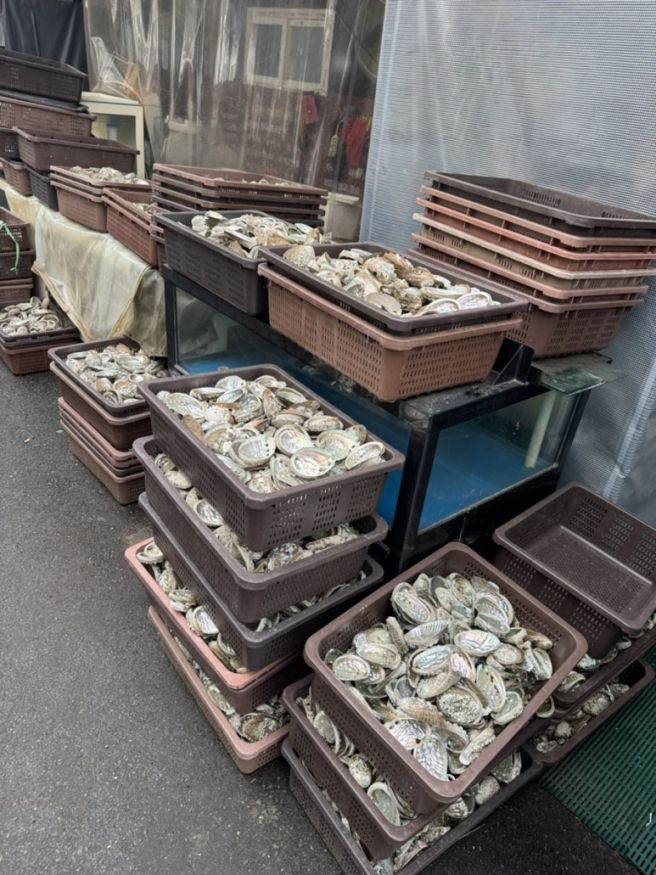 포항 죽도시장 전복죽이 리필되는 유화초전복죽 주차정보