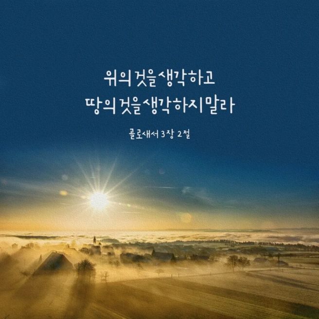 뷰어 이미지