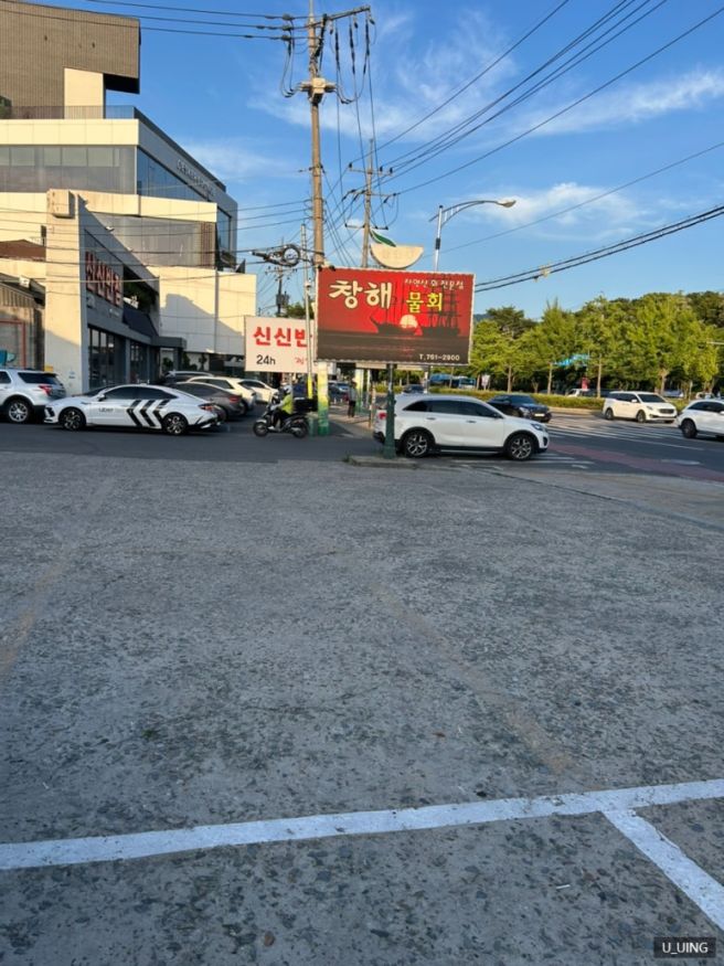 대구 수성구 들안길 창해물회 물회 후기