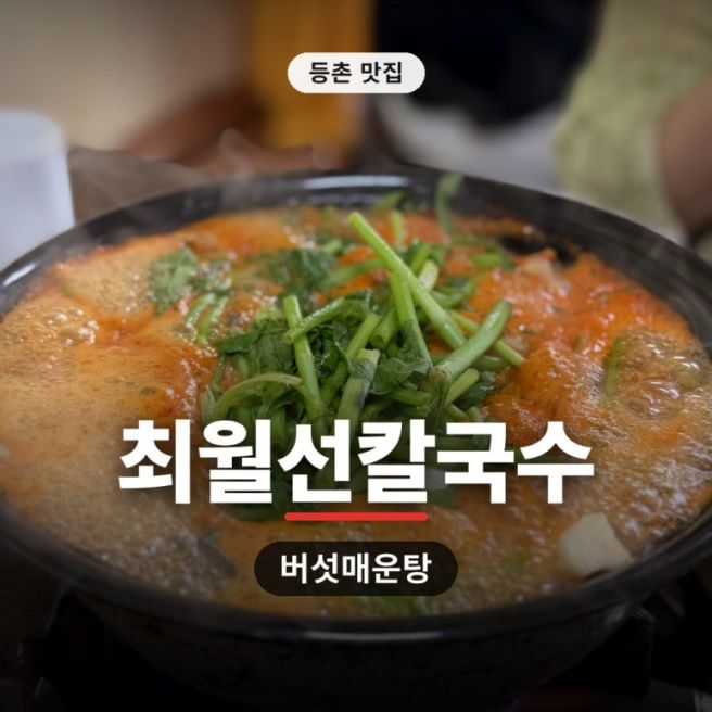 <내돈내산> 등촌 맛집 최월선칼국수 버섯매운탕 10번 넘게 간 후기