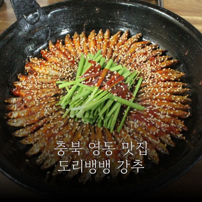 충북 영동 맛집 어죽과 도리뱅뱅 추천 선희식당