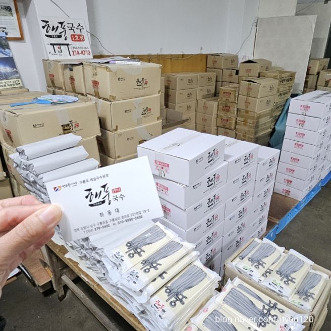 포항 구룡포시장 오징어회 포장 해풍국수 제일국수공장