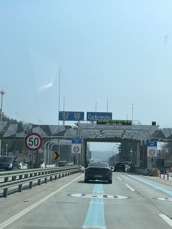 여왕개미식당👍강릉 중앙시장 맛집,옹심이 칼국수
