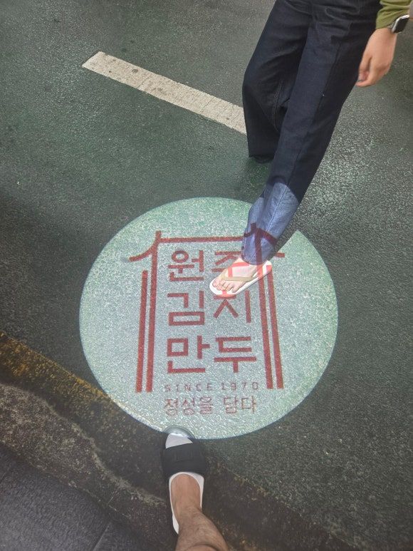 원주 김치만두 원주