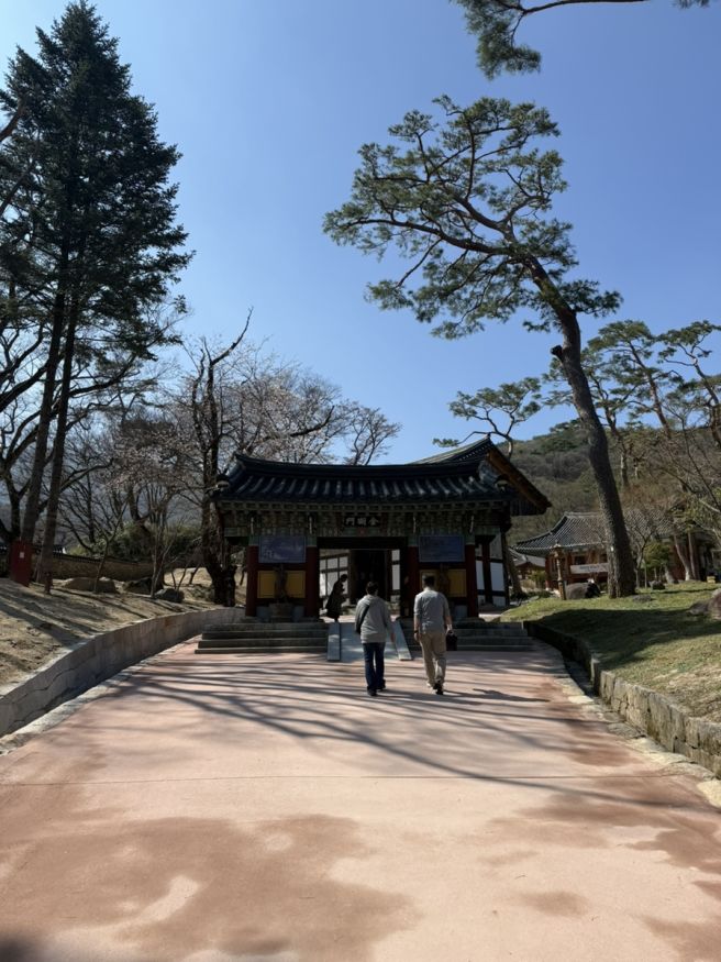 여행코스 추천 직지사 - 연화지 - 브런치카페 로브 - 연화지쌈밥 (연화지갔다가 전현무계획 출연했어요!)