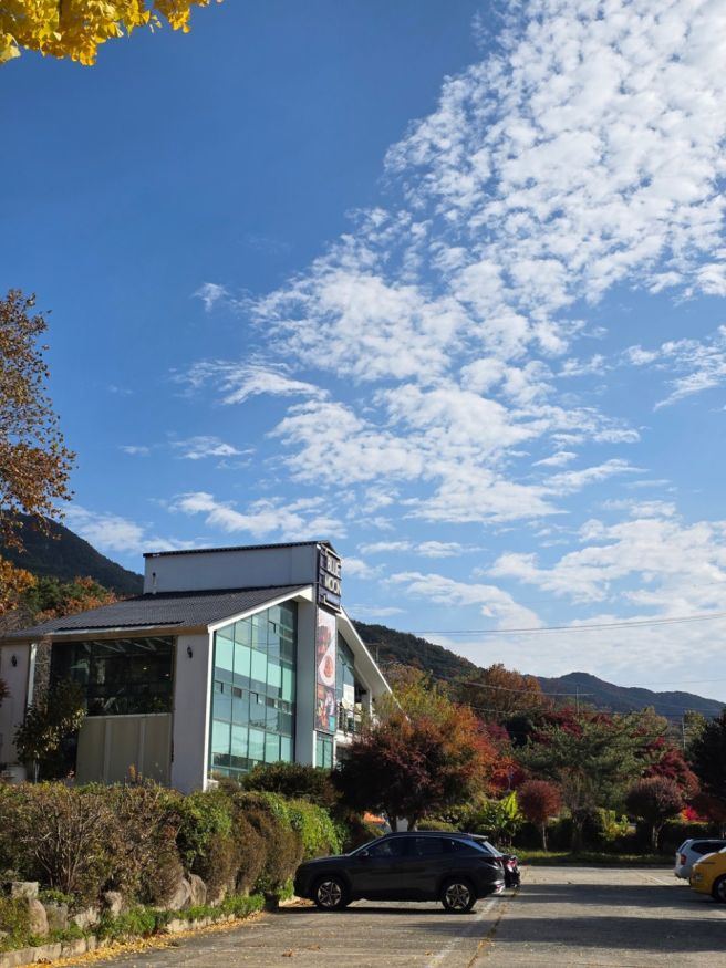 대구 스테이크 맛집 팔공산 파계사 블루문 레스토랑 런치 코스 메뉴