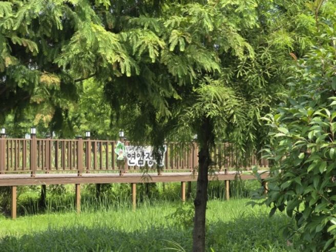 연암정원 (울산북구 원연암마을,연암정원)산책하기 좋은곳^^