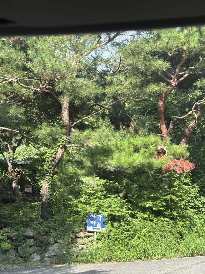 [경기도 양평 맛집] 사각하늘, 스키야키 맛집