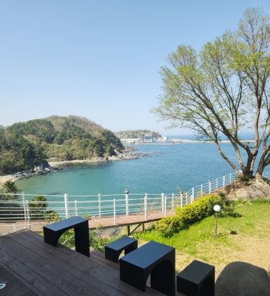 [4월 삼척여행] 이사부사자공원/ 원희네닭갈비/ 카페 '한재'/ 삼척맹방유채꽃축제