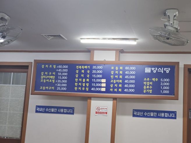 (제주 건입동) 물항식당 / 갈치국(26.03.08.)