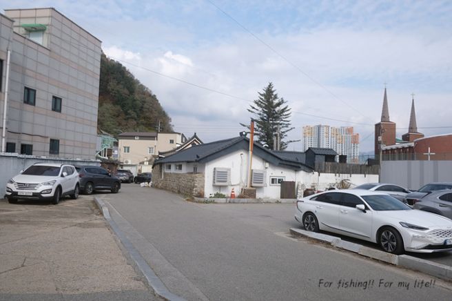 평창 부일식당 산채백반