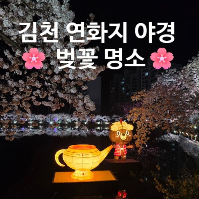 김천 연화지 벚꽃 후기 🌸 주차 꿀팁 + 김천 맛집 찾기 실패...결국 버거킹 먹음