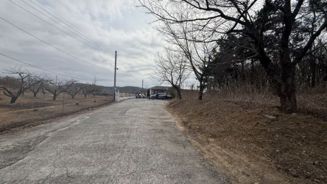 영천 맛집, 연탄 석쇠불고기 솔직 후기(단골석쇠불고기)