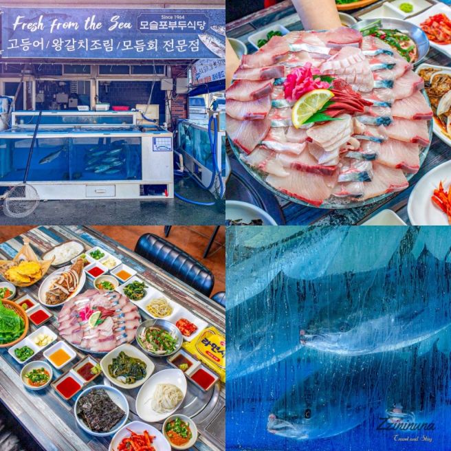 제주 고등어회 제주도 신화월드 근처 맛집 모슬포 부두식당
