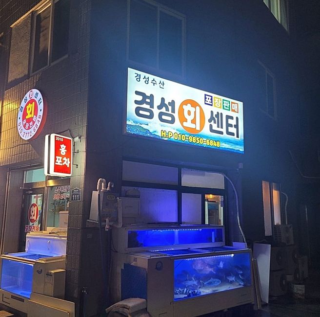 [제주도 제주시] [제주올레 15코스] 한림-고내 올레 (B)