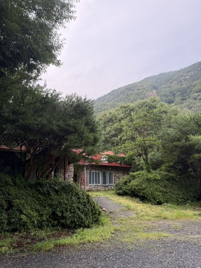대전 근교 드라이브 코스 추천, 금산 어죽 맛집 남촌가든 후기