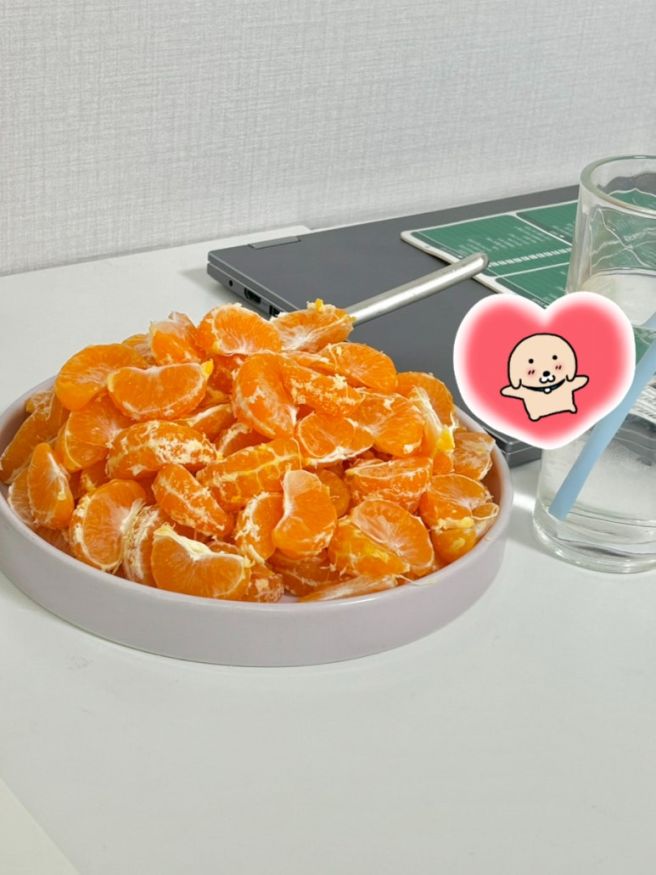 겨울방학 중 먹방일기 2탄(당진 봉이손만두, 카페레브, 유심조, 호강족발, 다올정육식당)