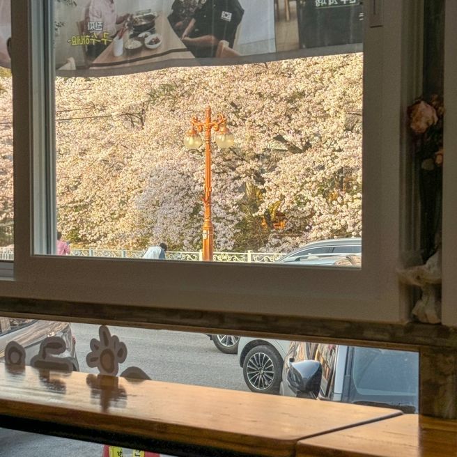 「구미 남통동맛집」 금오산길- 몸 보신에 딱인 구미 금오산 삼계탕맛집(벚꽃뷰)