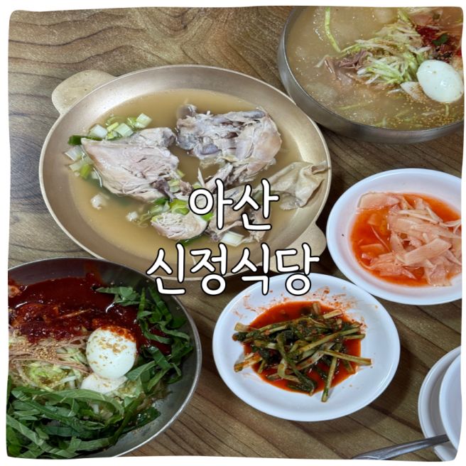 아산 신정식당 닭수육과 비빔냉면으로 70년 버틴 노포의 맛