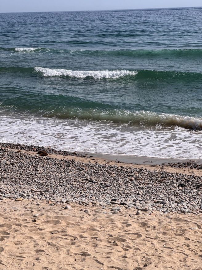 속초 물회 맛집 봉포머구리집 탁트인 오션뷰에 맛있는 물회 한그릇!