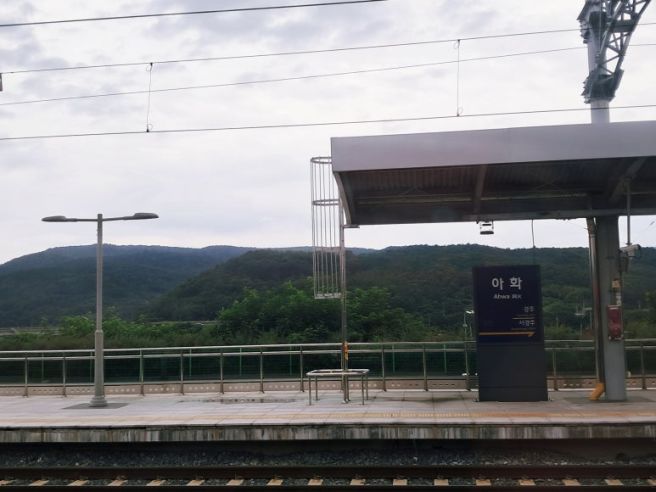 [#35] 영주 #01(25-0806/수) ~ 부산에서 영주 기차 이동 후 흥주선비국밥 혼밥 후 숙소 체크인