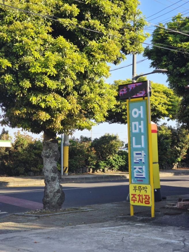 제주도 3대 치킨 어머니닭집 성산일출봉 치킨