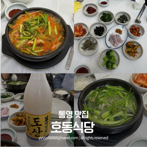 통영 맛집 호동식당 서호시장 해장 복국맛집 내돈내산