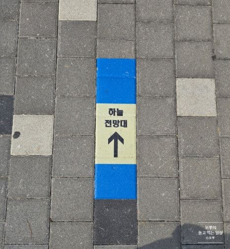 [2026년 봄 당일치기 안성여행] 안일옥, 금광호수 하늘 전망대, 청류재커피