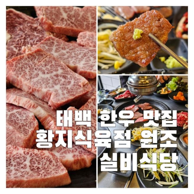 마블링 예술인 100% 한우고기 태백맛, 황지식육점 원조 실비식당 후기