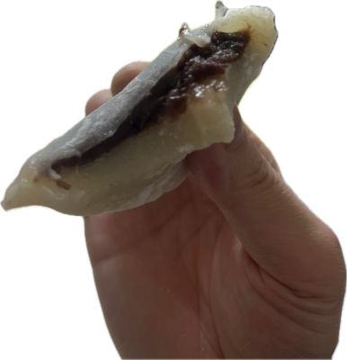 제천여행 덩실분식 찹쌀떡 보관 도너츠 주말 웨이팅