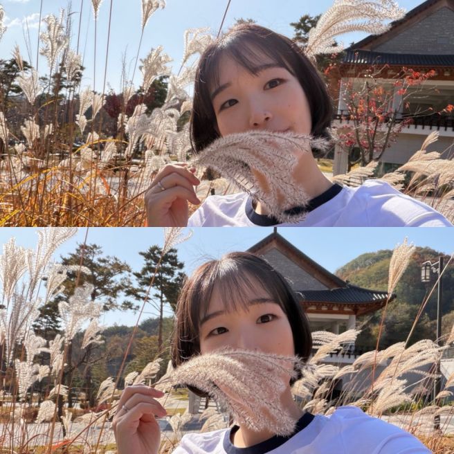 11월 둘째 주 주말 일상🧡- 영주 봉화 맛집, 카페 추천 (영주 소고기 맛집 대지한우식육식당-단체룸...